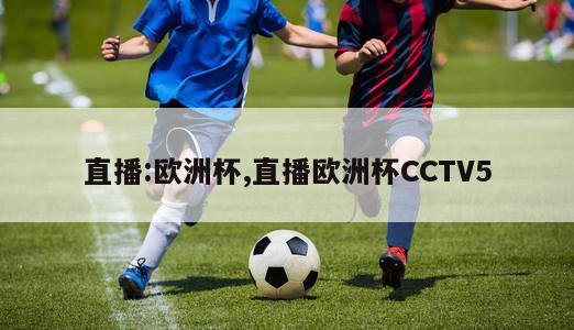 直播:欧洲杯,直播欧洲杯CCTV5