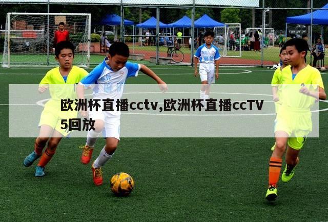 欧洲杯直播cctv,欧洲杯直播ccTV 5回放