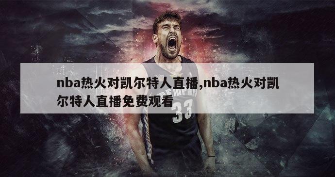 nba热火对凯尔特人直播,nba热火对凯尔特人直播免费观看